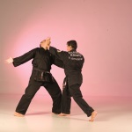 FU SHIH KENPO KARATE ITALIA RAUL GUTIERREZ